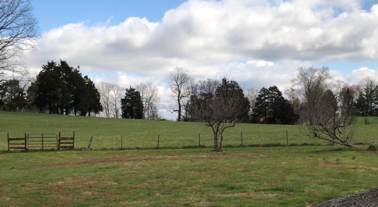 Magnolia La Follette, TN 37766 - Photo 5 of 16 IMG_3972
