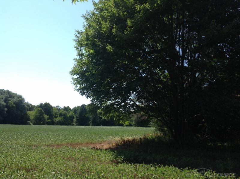 7025 Roach Road Lexington, MI 48450 - Photo 10 of 11 31300265-9.JPG