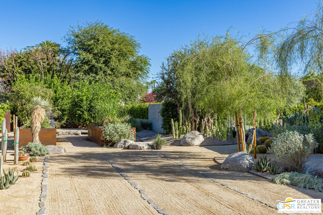 72453 Rancho Road Rancho Mirage, CA 92270 - Photo 13 of 60 a view of a yard with plants and trees
