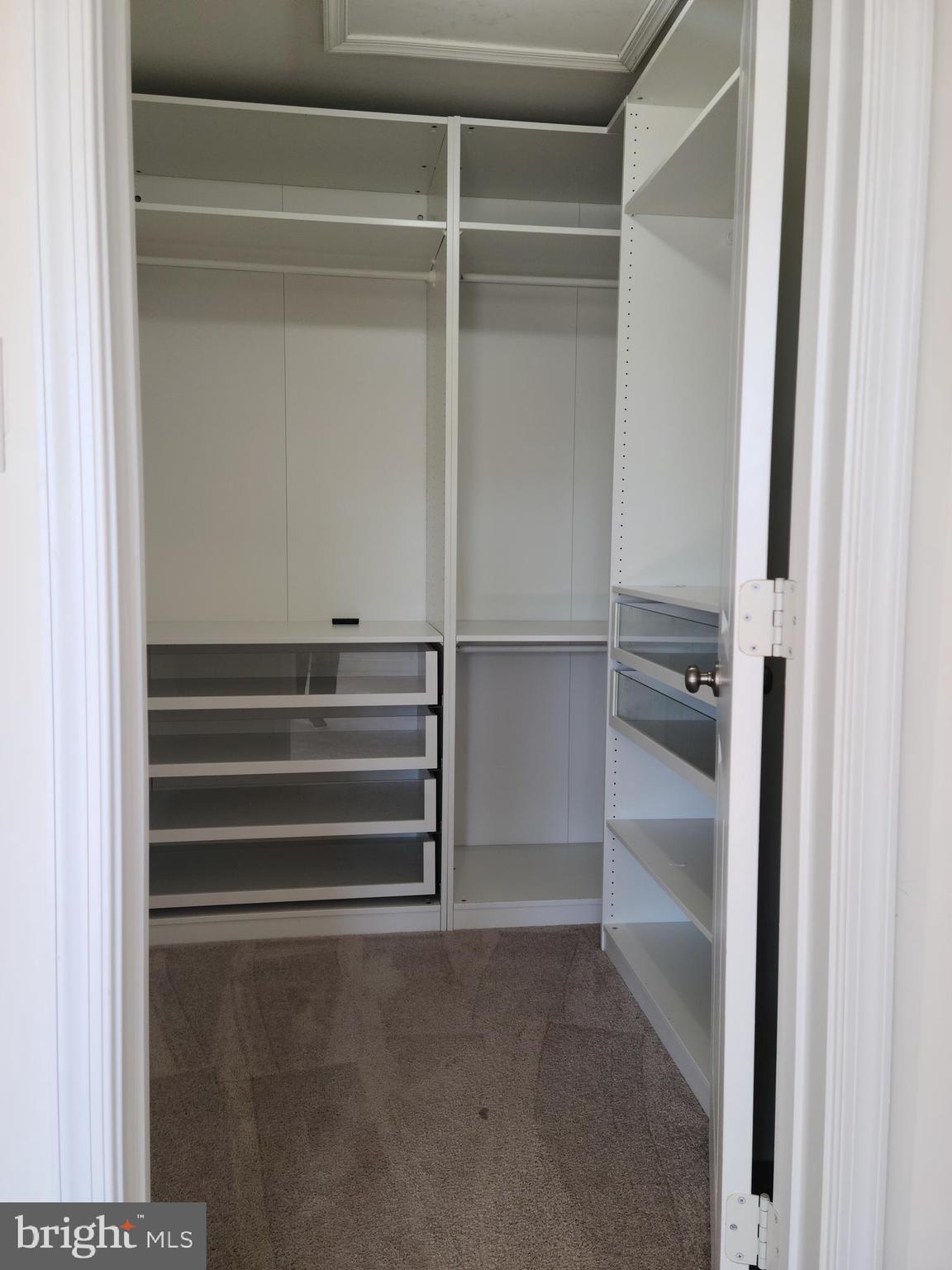 1756 Michelangelo Drive Middletown, DE 19709 - Photo 11 of 24 a view of walk in closet with empty racks