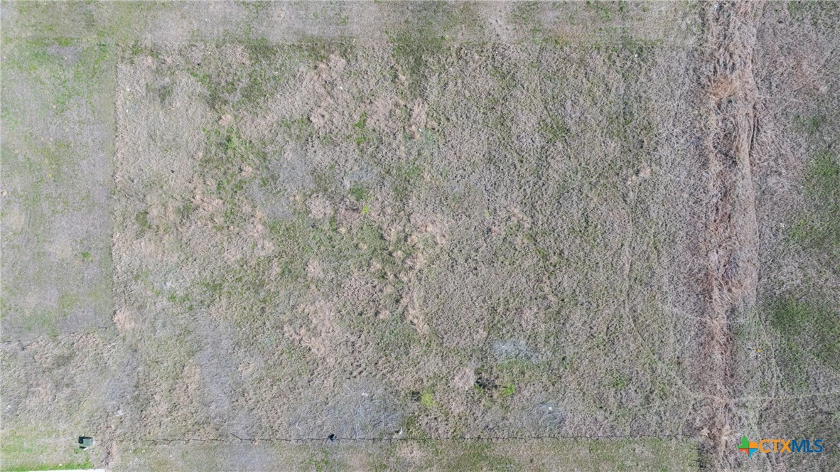 15043 Armstrong Ests Road Salado, TX 76571 - Photo 13 of 20 a close up of a plant