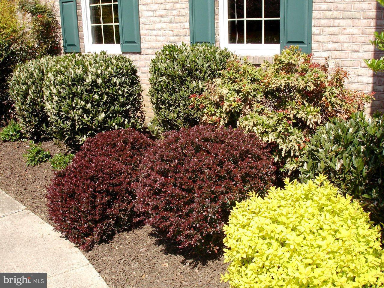 3812 Stansbury Mill Road Phoenix, MD 21131 - Photo 27 of 30 BEAUTIFUL LANDSCAPING