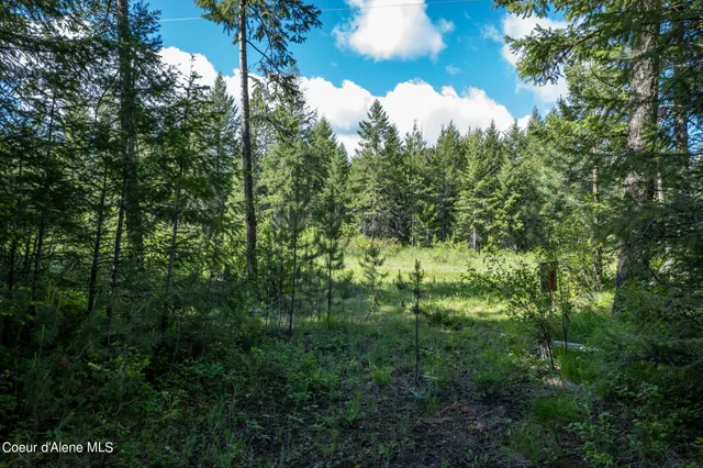 $195,000 | Nka Lot 3 Nka, Spirit Lake, ID 83869