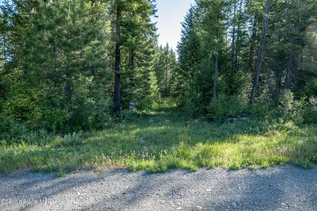 $195,000 | Nka Lot 3 Nka, Spirit Lake, ID 83869