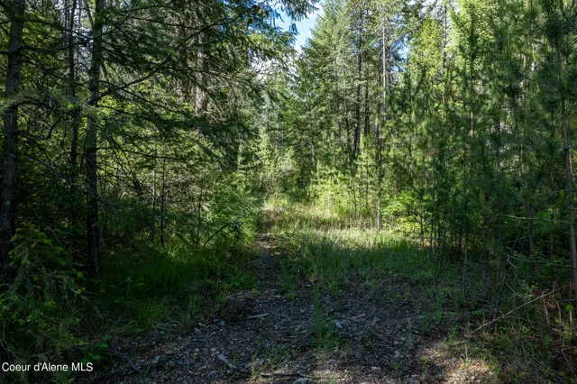 $195,000 | Nka Lot 3 Nka, Spirit Lake, ID 83869