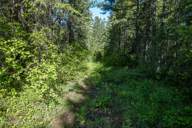 $195,000 | Nka Lot 3 Nka, Spirit Lake, ID 83869