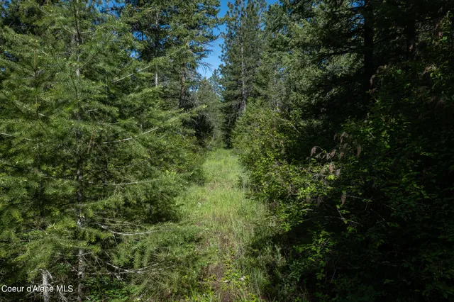 $195,000 | Nka Lot 3 Nka, Spirit Lake, ID 83869