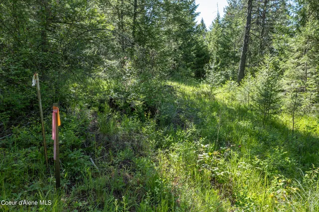 $195,000 | Nka Lot 3 Nka, Spirit Lake, ID 83869