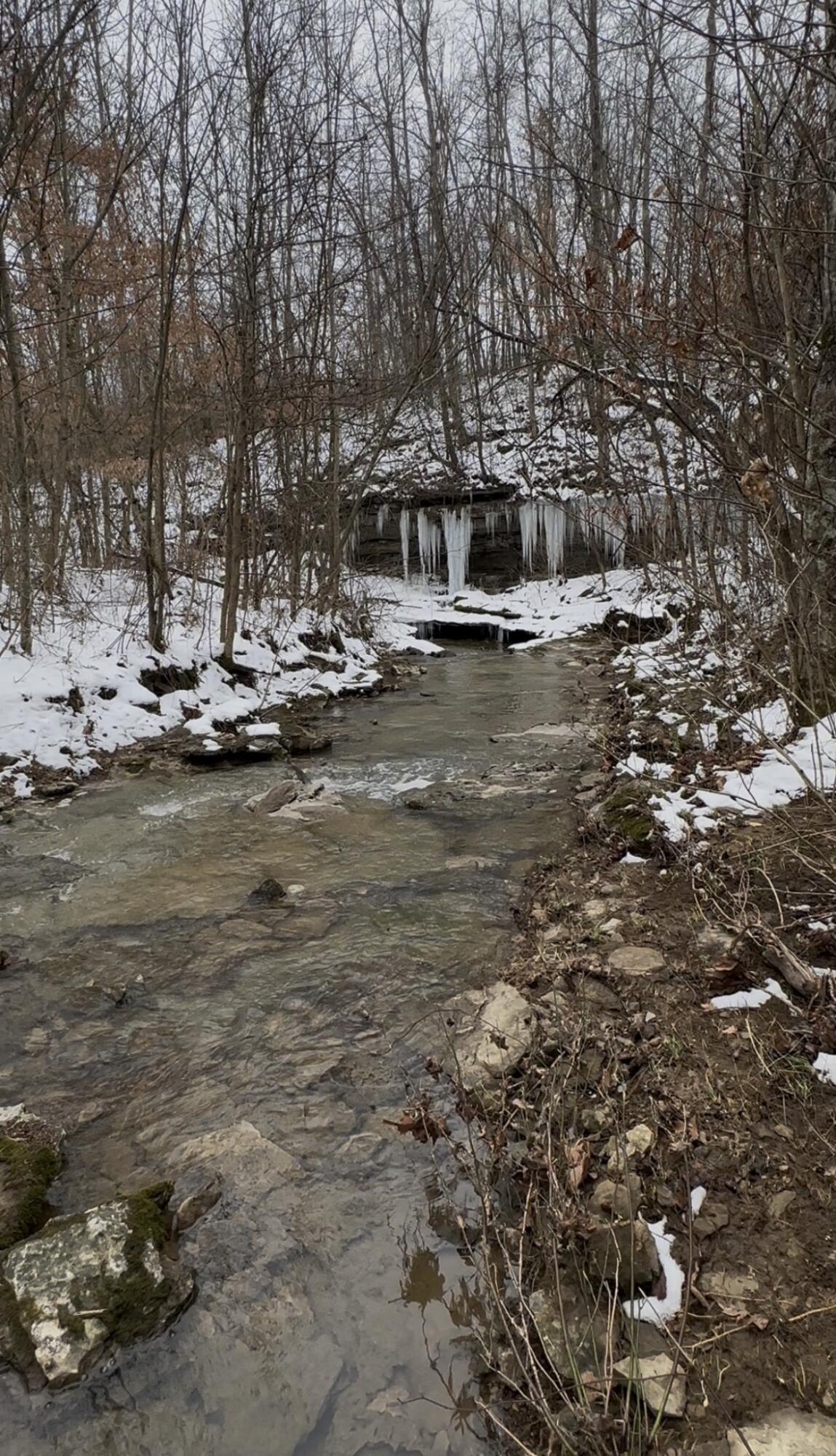 698 Ben Thompson Road Eubank, KY 42567 - Photo 105 of 110 698 Ben Thompson rd -102