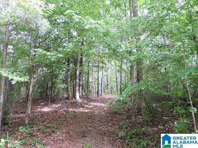 9 Smiley Lane, Unit 9 Wedowee, AL 36278 - Photo 4 of 4