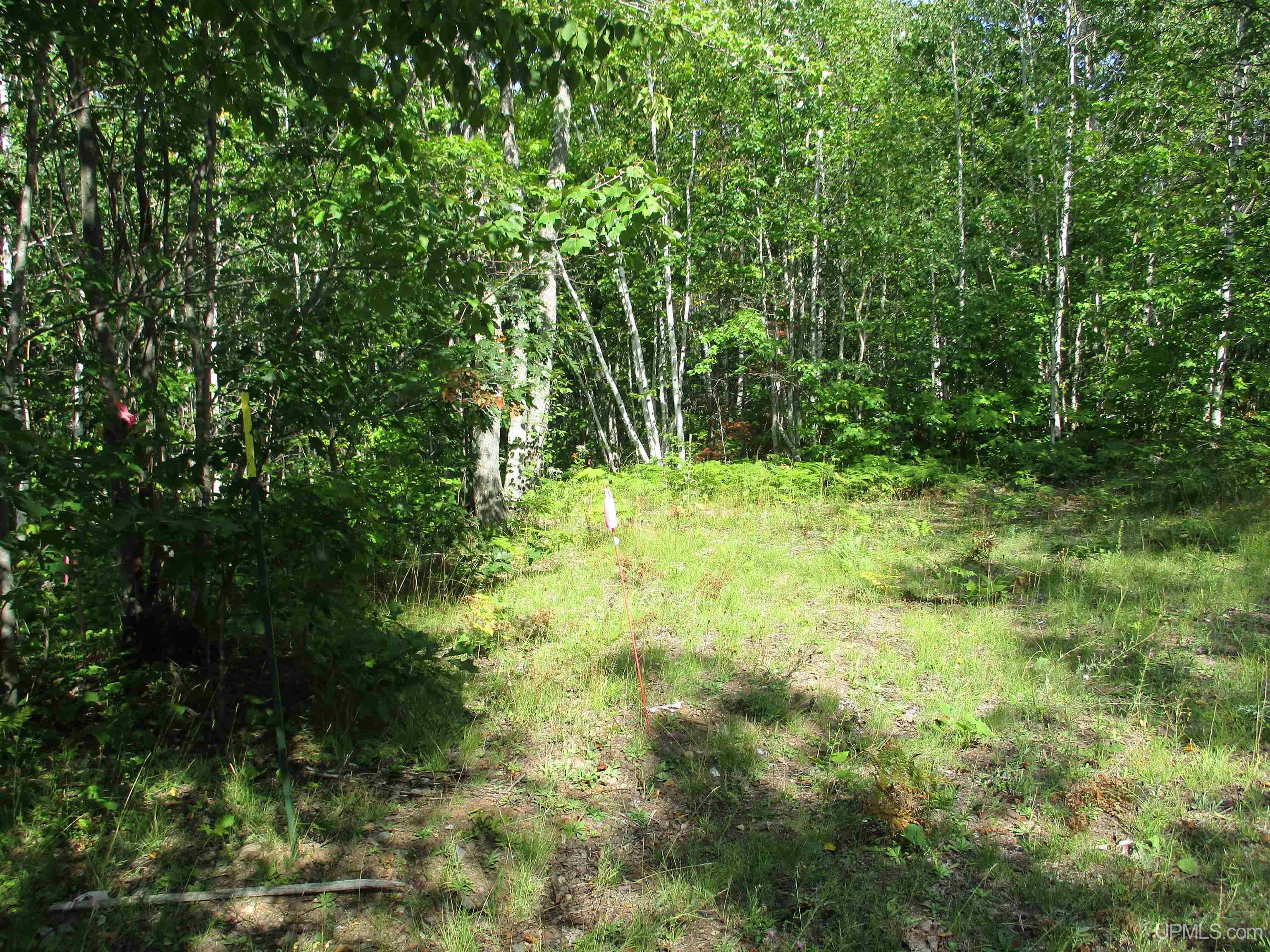 4 D Bailey Shores Road Mohawk, MI 49950 - Photo 3 of 5