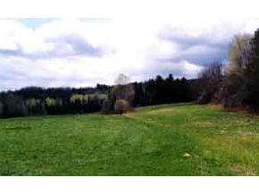 643 Lake Region Road Barton, VT 05822 - Photo 3 of 4