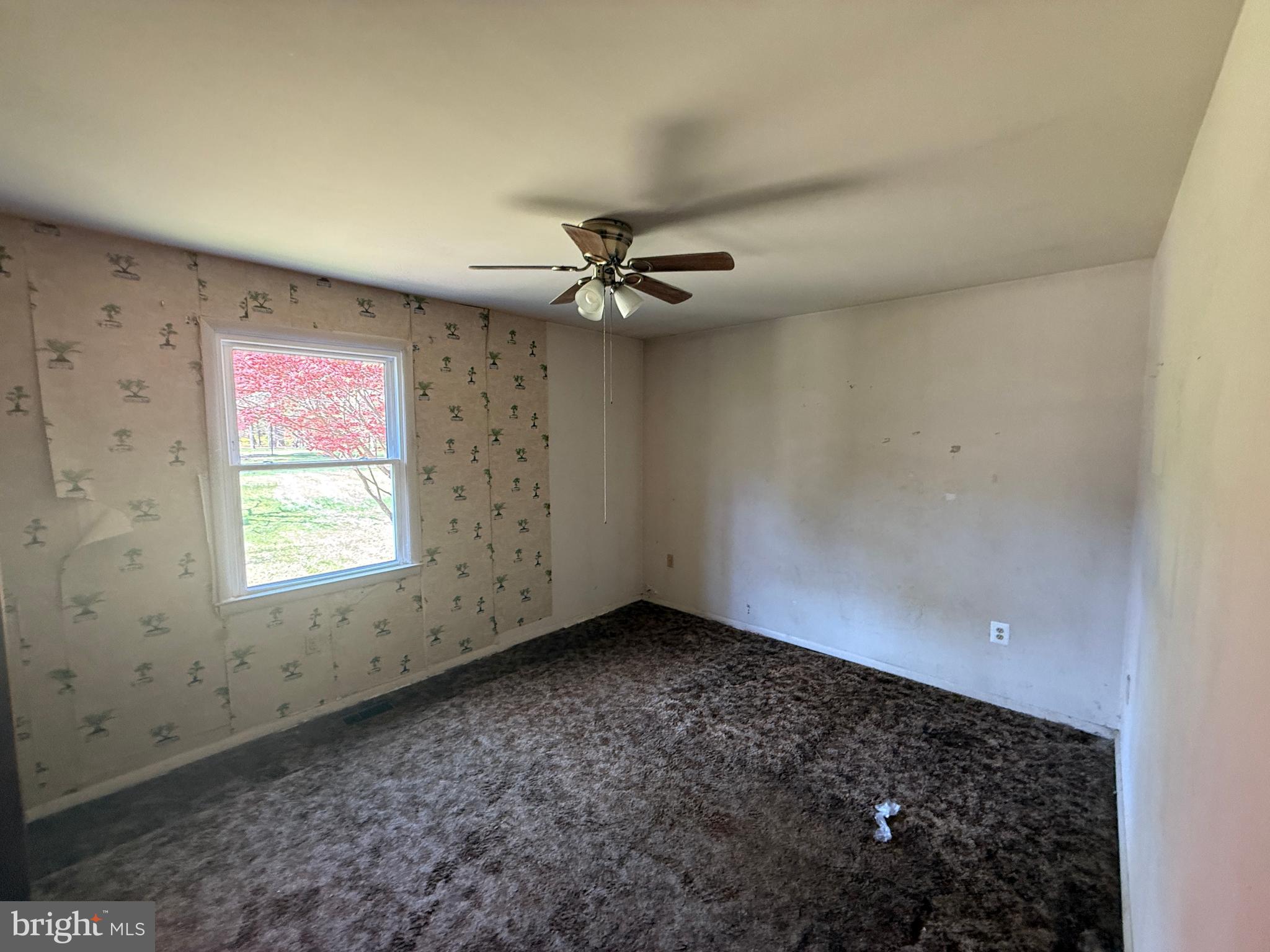 4903 Church Road Bowie, MD 20720 - Photo 9 of 15