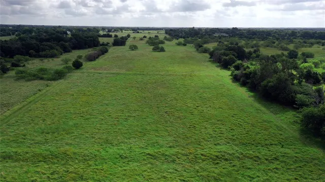 a view of a lush green field with lots of plants