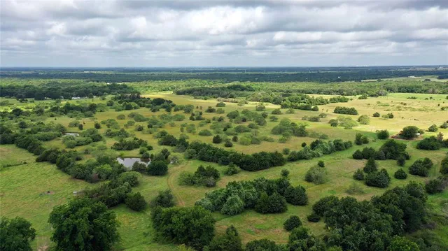 a view of a garden with an outdoor space