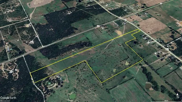 a view of a tree in the middle of a yard