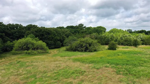 a view of a green field with clear sky
