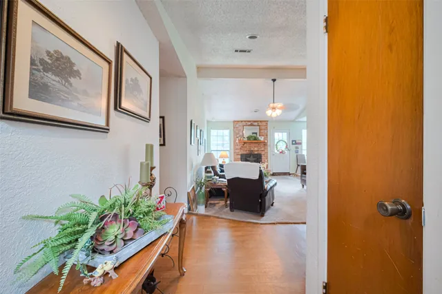a view of a living room and a potted plant
