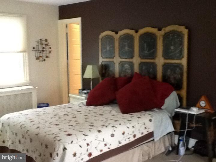 5 Snowden Road Bala Cynwyd, PA 19004 - Photo 4 of 24 Master Bedroom
