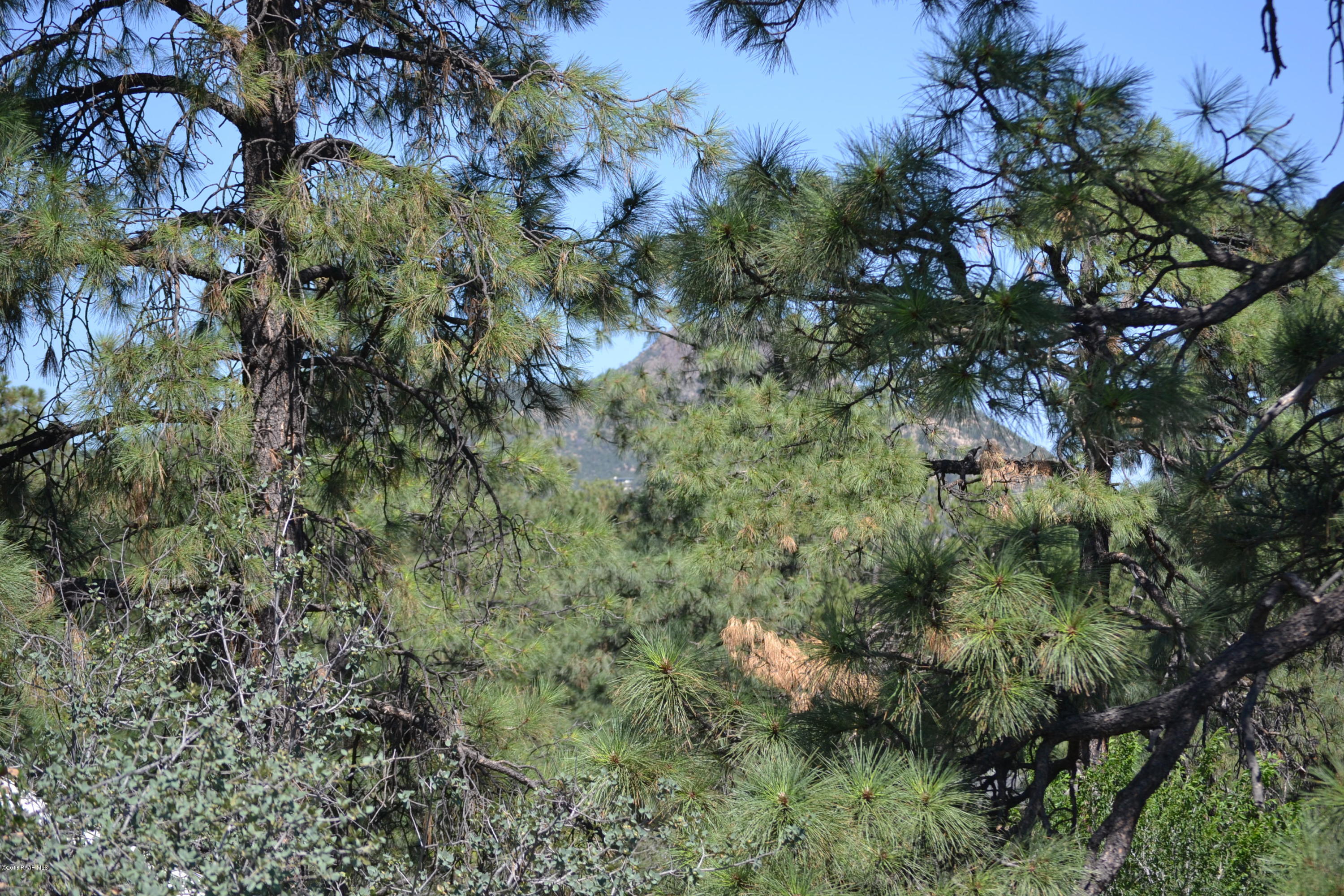 0 Hoffman Road Prescott, AZ 86303 - Photo 2 of 14 DSC_0004