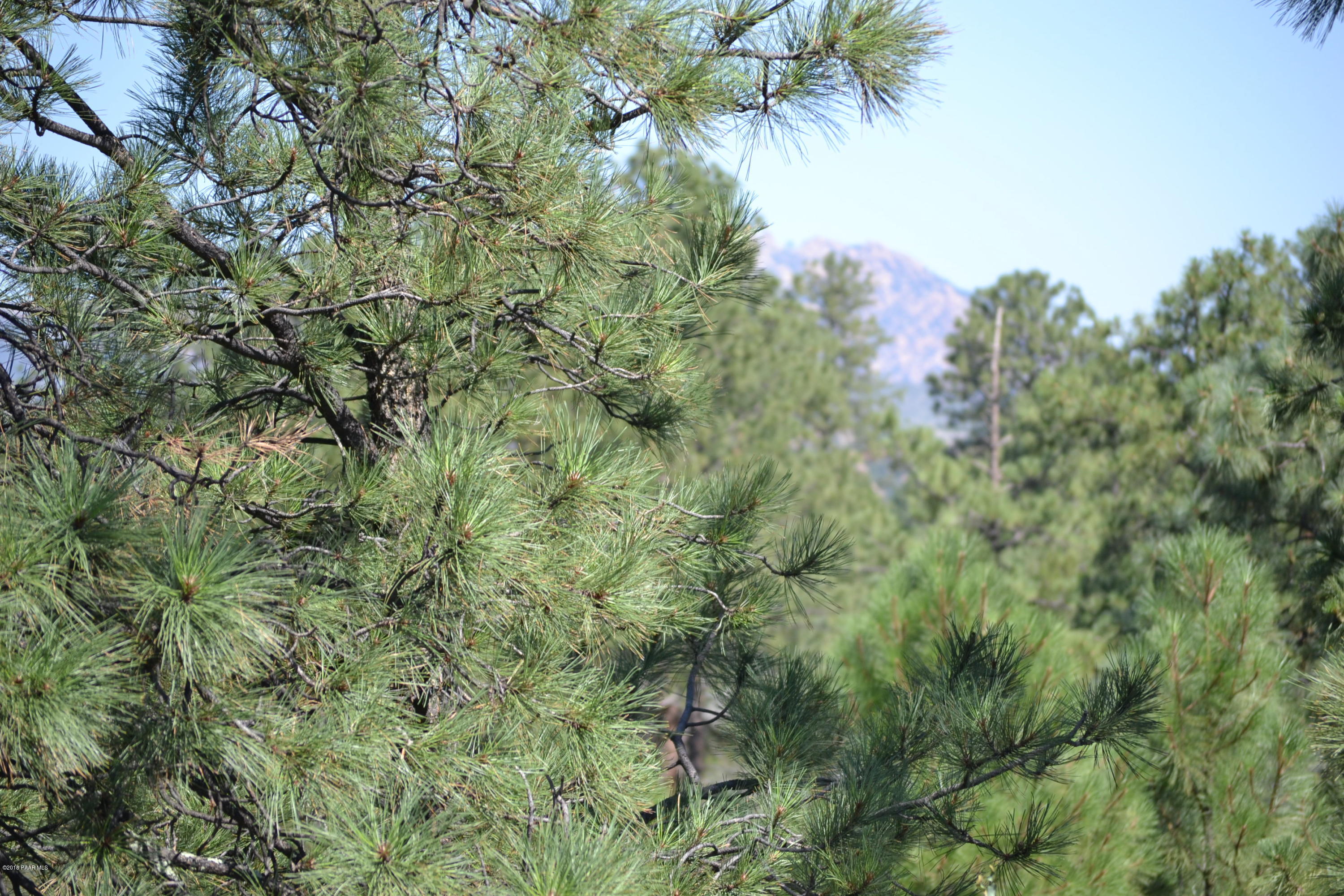 0 Hoffman Road Prescott, AZ 86303 - Photo 3 of 14 DSC_0005