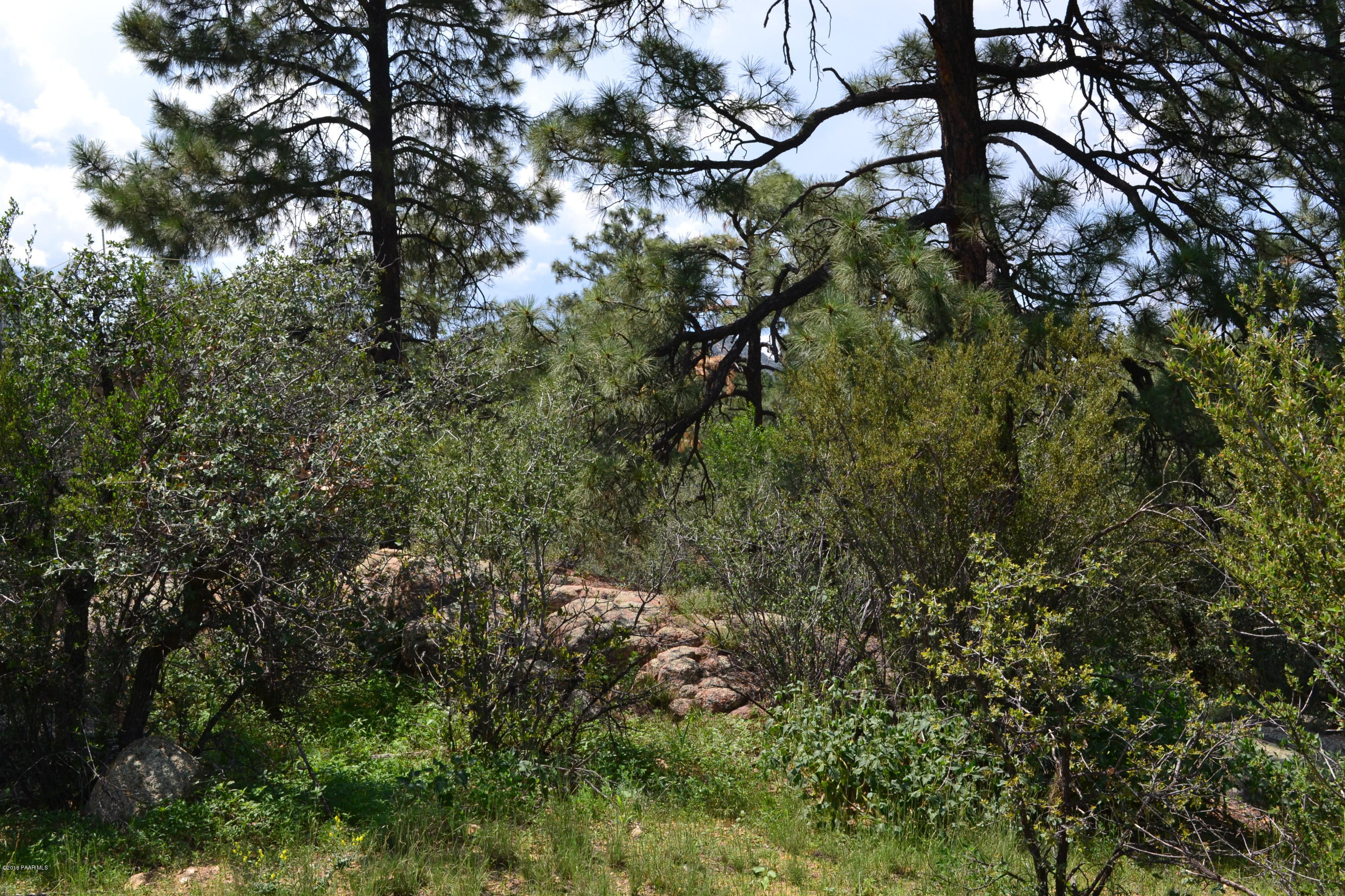 0 Hoffman Road Prescott, AZ 86303 - Photo 7 of 14 2018-07-30 17.12.43