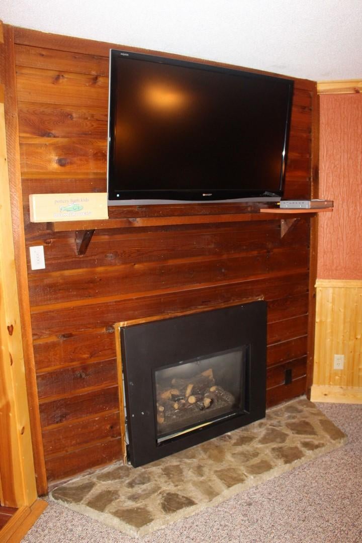 107 B Summit Snowshoe, WV 26209 - Photo 18 of 23 Gallery Image 18