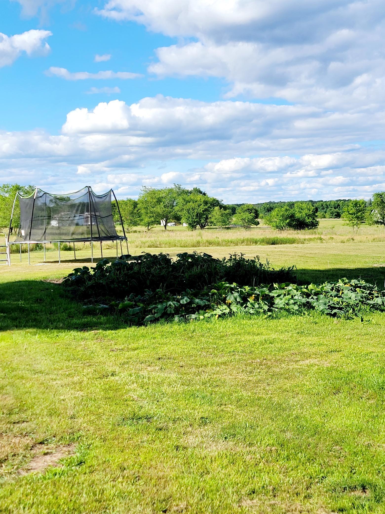 46049 St Lawrence Drive Perham, MN 56573 - Photo 23 of 26