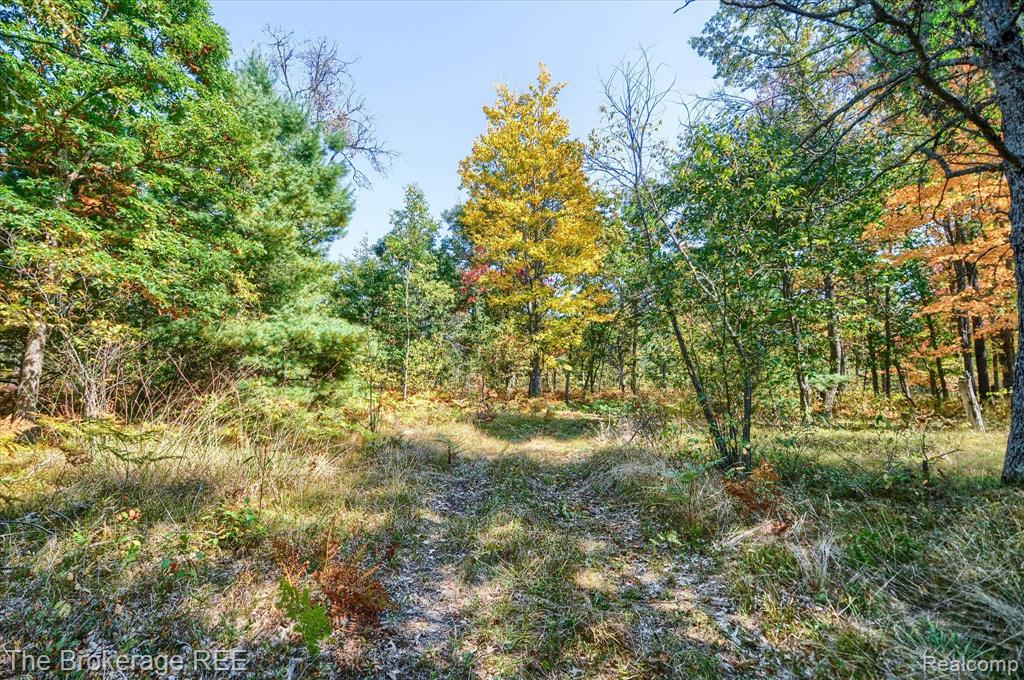 3260 Rabbit Track Road West Branch, MI 48661 - Photo 39 of 62 Gallery Image 39