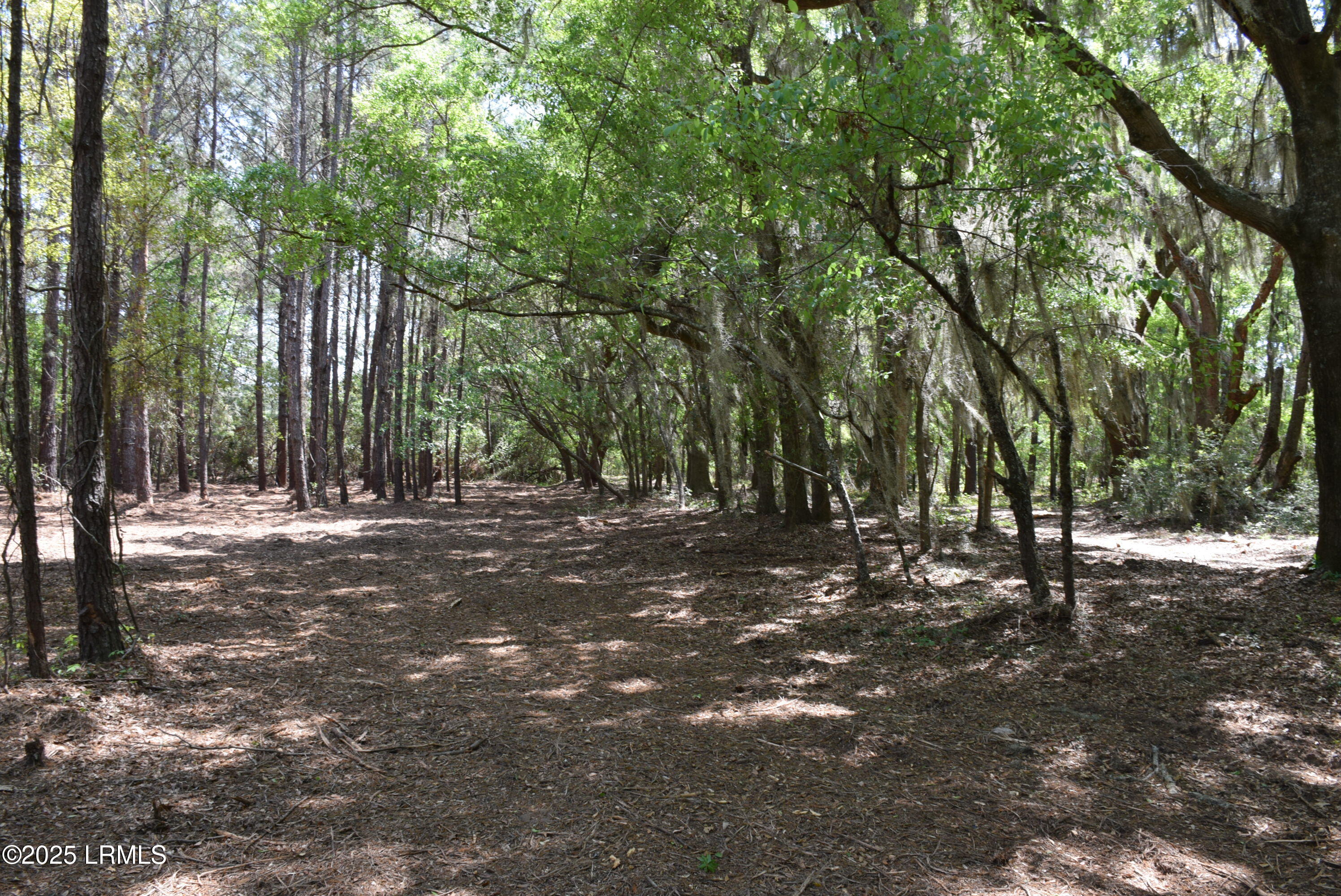 Tbd Edgewater Downs Beaufort, SC 29907 - Photo 2 of 10 DSC_0002