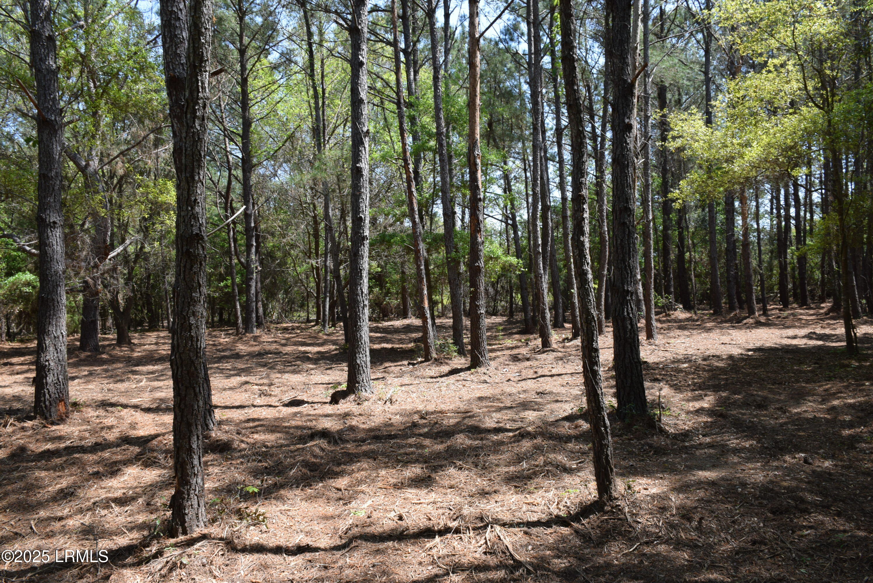 Tbd Edgewater Downs Beaufort, SC 29907 - Photo 3 of 10 DSC_0001