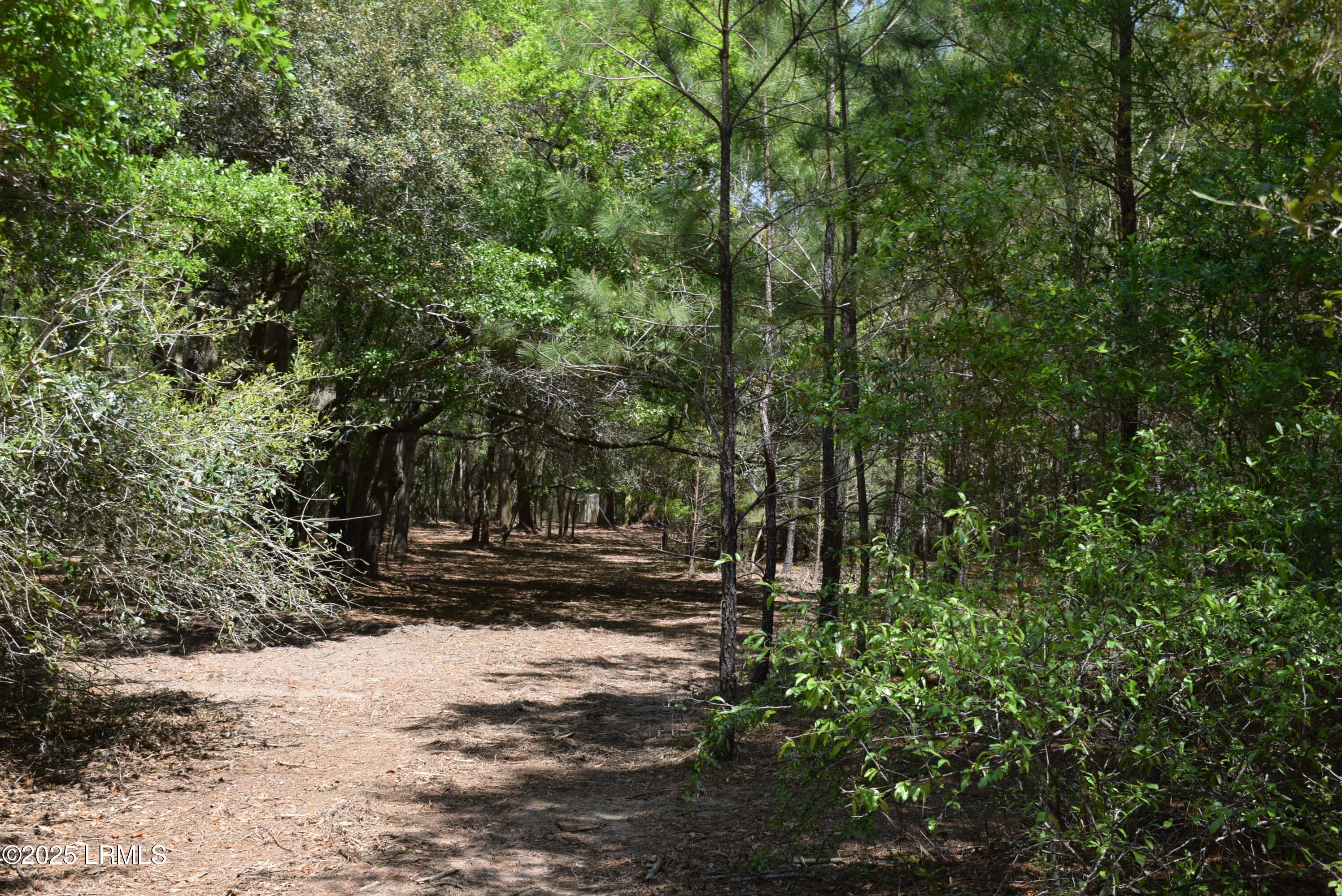 Tbd Edgewater Downs Beaufort, SC 29907 - Photo 4 of 10 DSC_0004