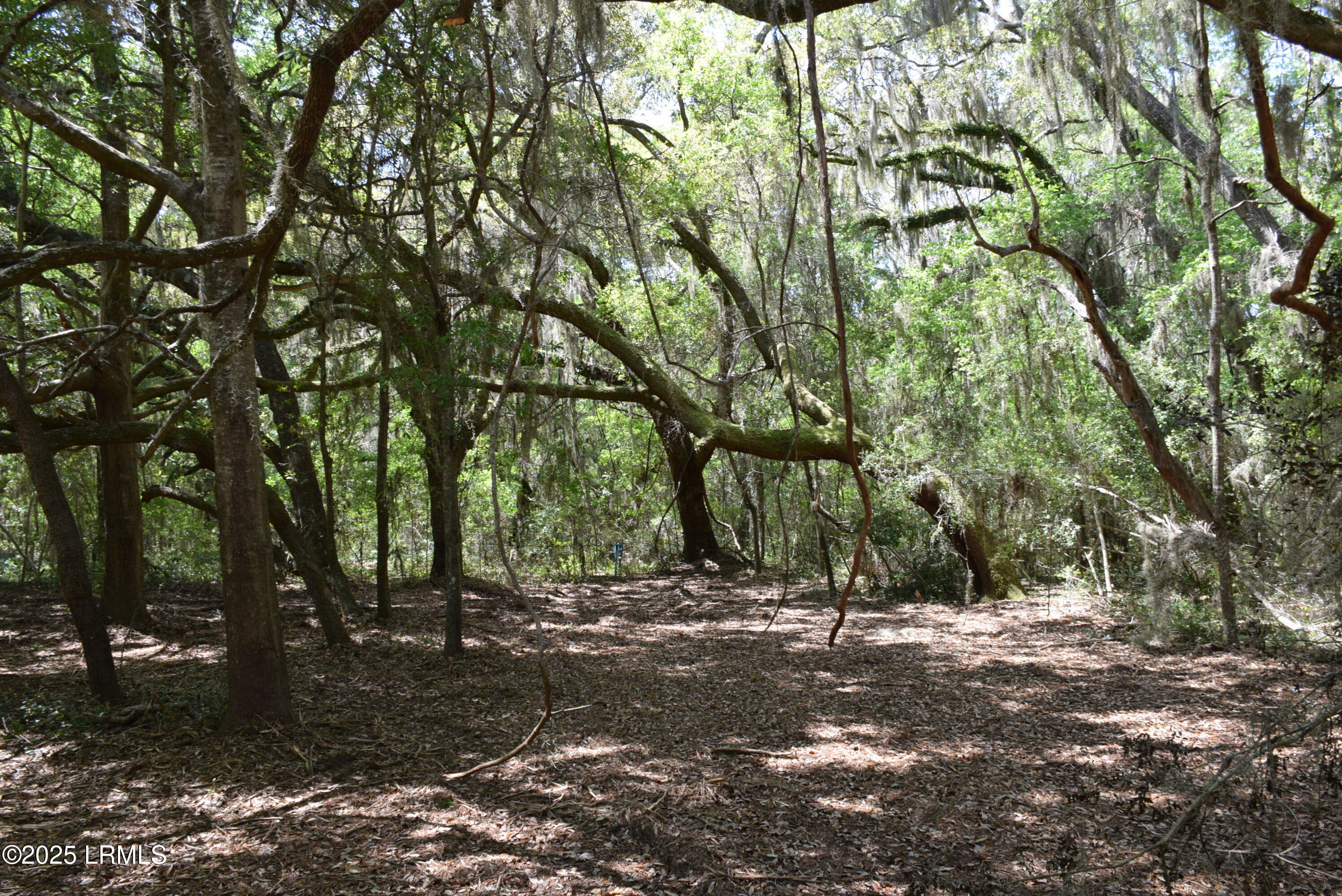 Tbd Edgewater Downs Beaufort, SC 29907 - Photo 6 of 10 DSC_0006