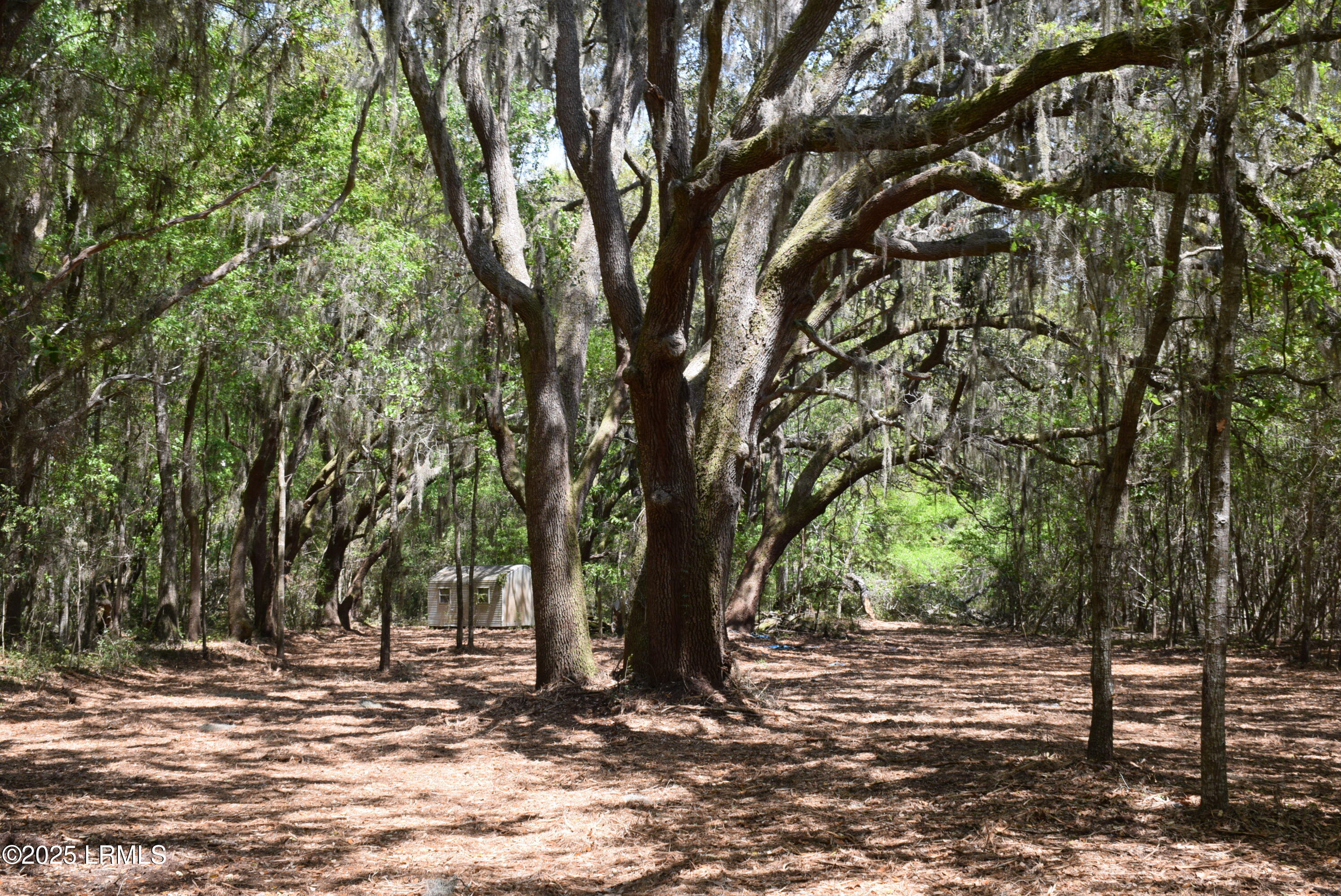 Tbd Edgewater Downs Beaufort, SC 29907 - Photo 8 of 10 DSC_0007