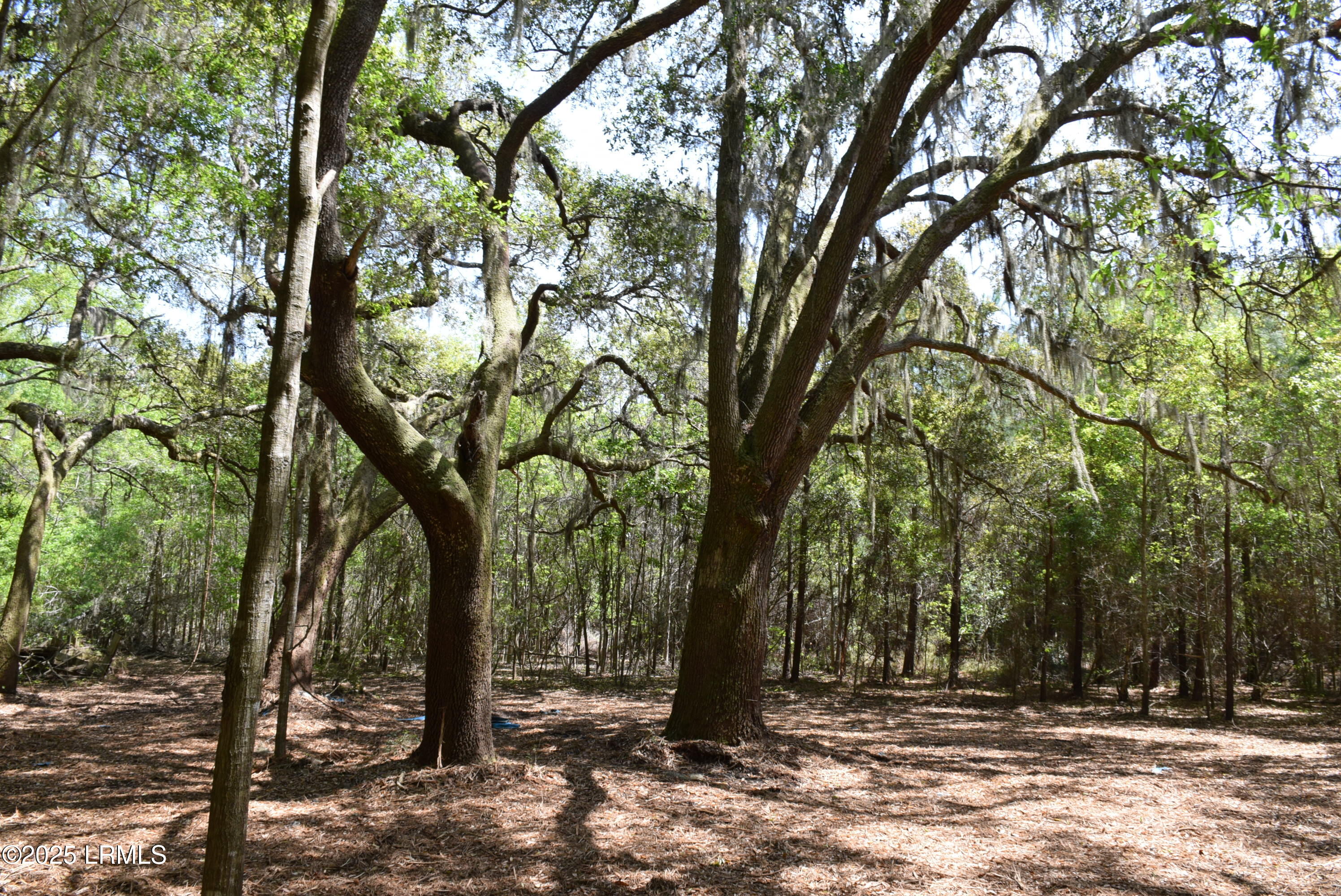 Tbd Edgewater Downs Beaufort, SC 29907 - Photo 9 of 10 DSC_0008