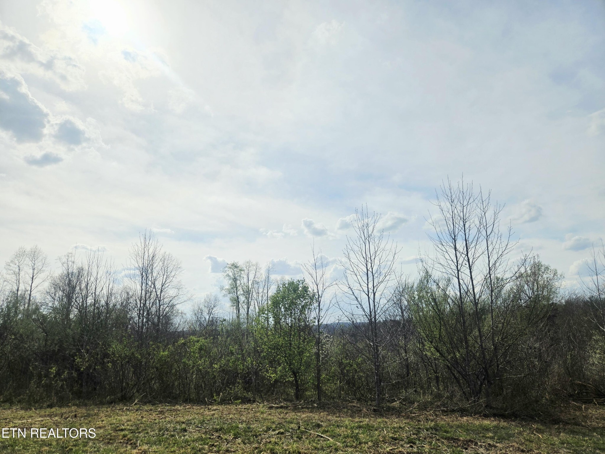 0 Grassy Knob Road Robbins, TN 37852 - Photo 23 of 25 Gallery Image 23