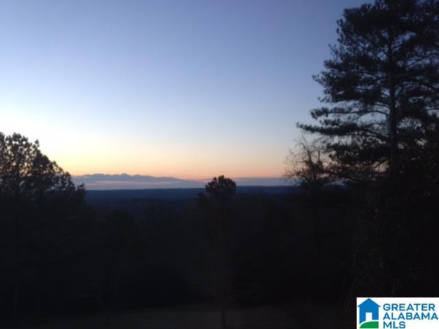 4801 South Shades Crest Road Helena, AL 35080 - Photo 29 of 31
