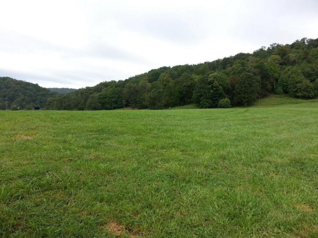 Tbd Tbd Simpson Road Church Hill, TN 37642 - Photo 1 of 11 Photo 1