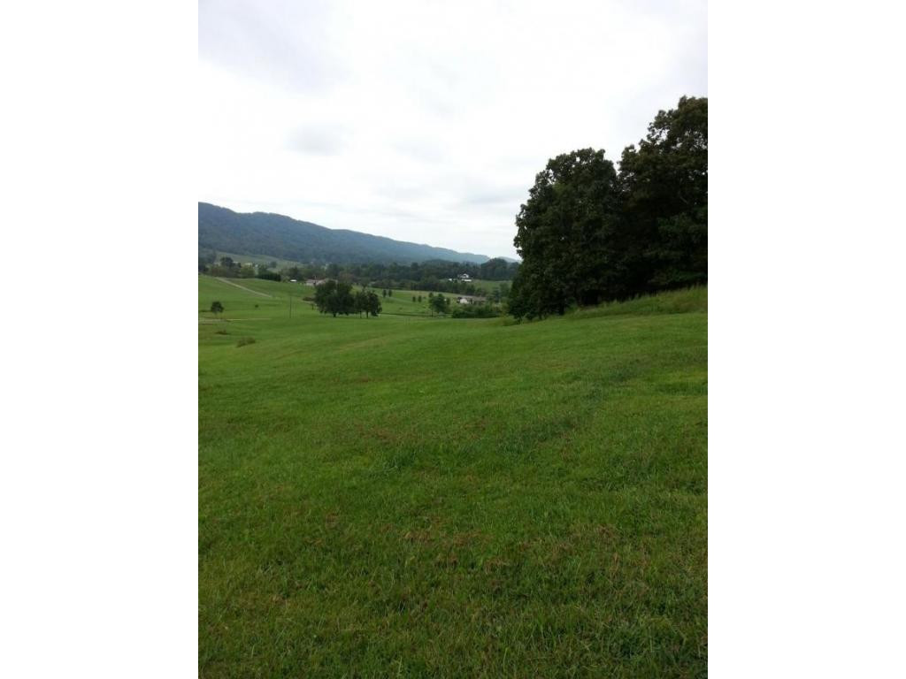 Tbd Tbd Simpson Road Church Hill, TN 37642 - Photo 2 of 11 Photo 2