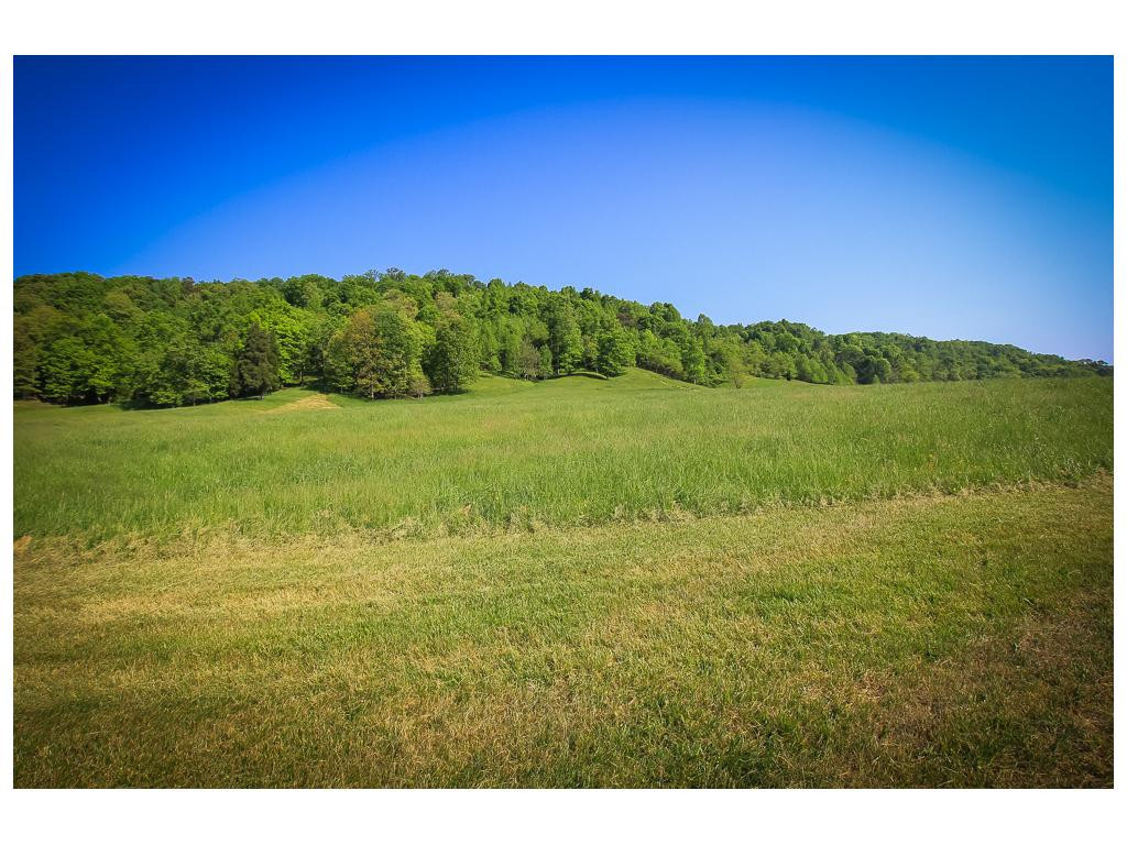 Tbd Tbd Simpson Road Church Hill, TN 37642 - Photo 5 of 11 Photo 5