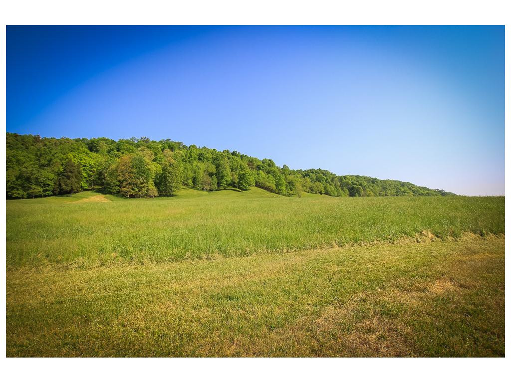 Tbd Tbd Simpson Road Church Hill, TN 37642 - Photo 6 of 11 Photo 6