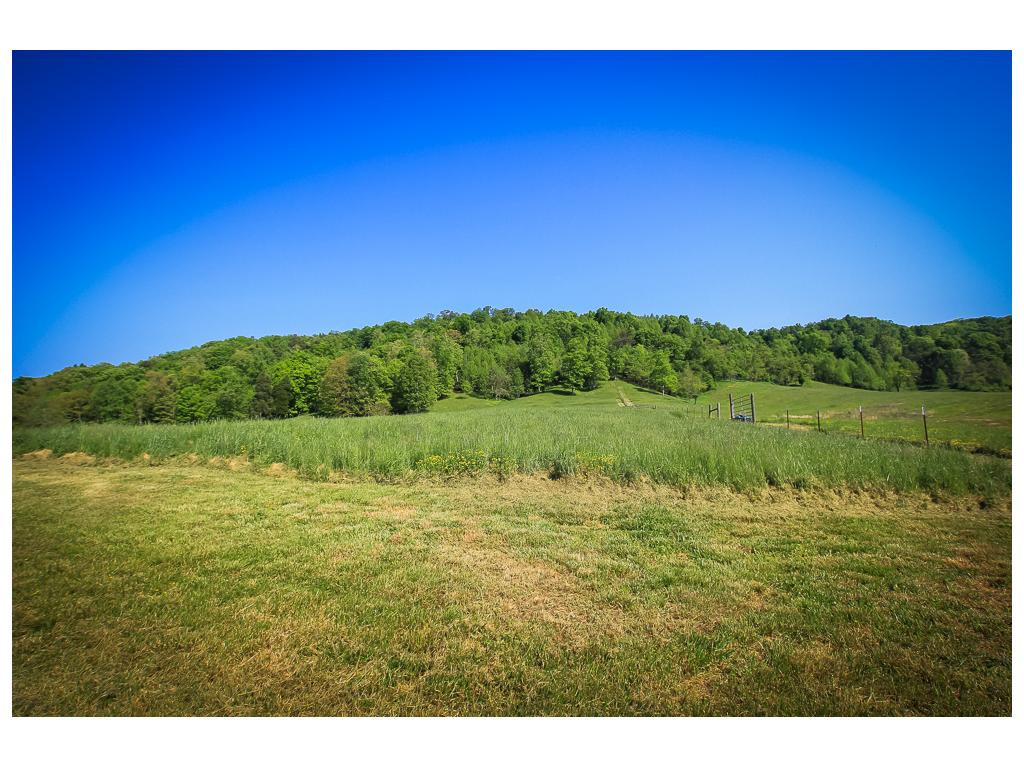 Tbd Tbd Simpson Road Church Hill, TN 37642 - Photo 8 of 11 Photo 8