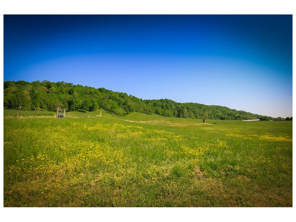 Tbd Tbd Simpson Road Church Hill, TN 37642 - Photo 10 of 11 Photo 10