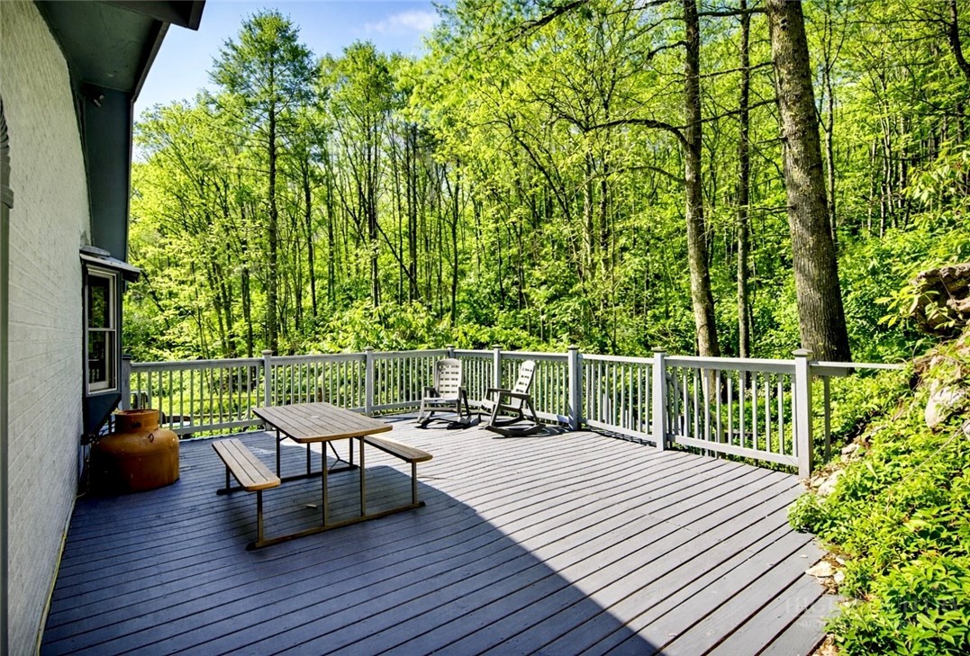 913 Winterberry Trail Boone, NC 28607 - Photo 36 of 43