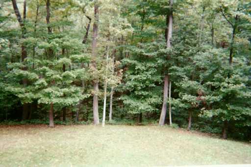1798 Edmon Road Avonmore, PA 15618 - Photo 8 of 8 Land.