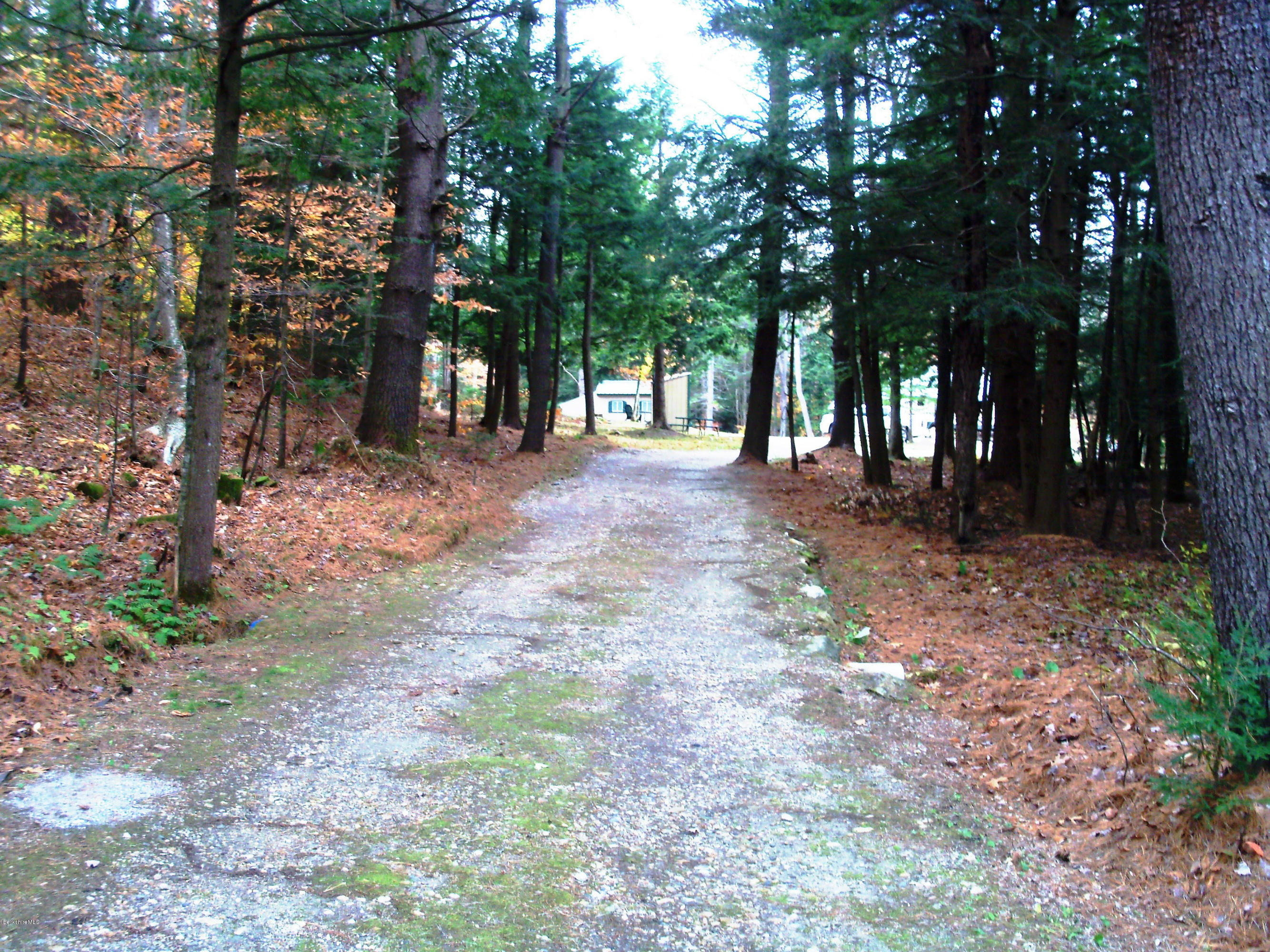20 S Road Peru, MA 01235 - Photo 5 of 24 a view of a trees and tree