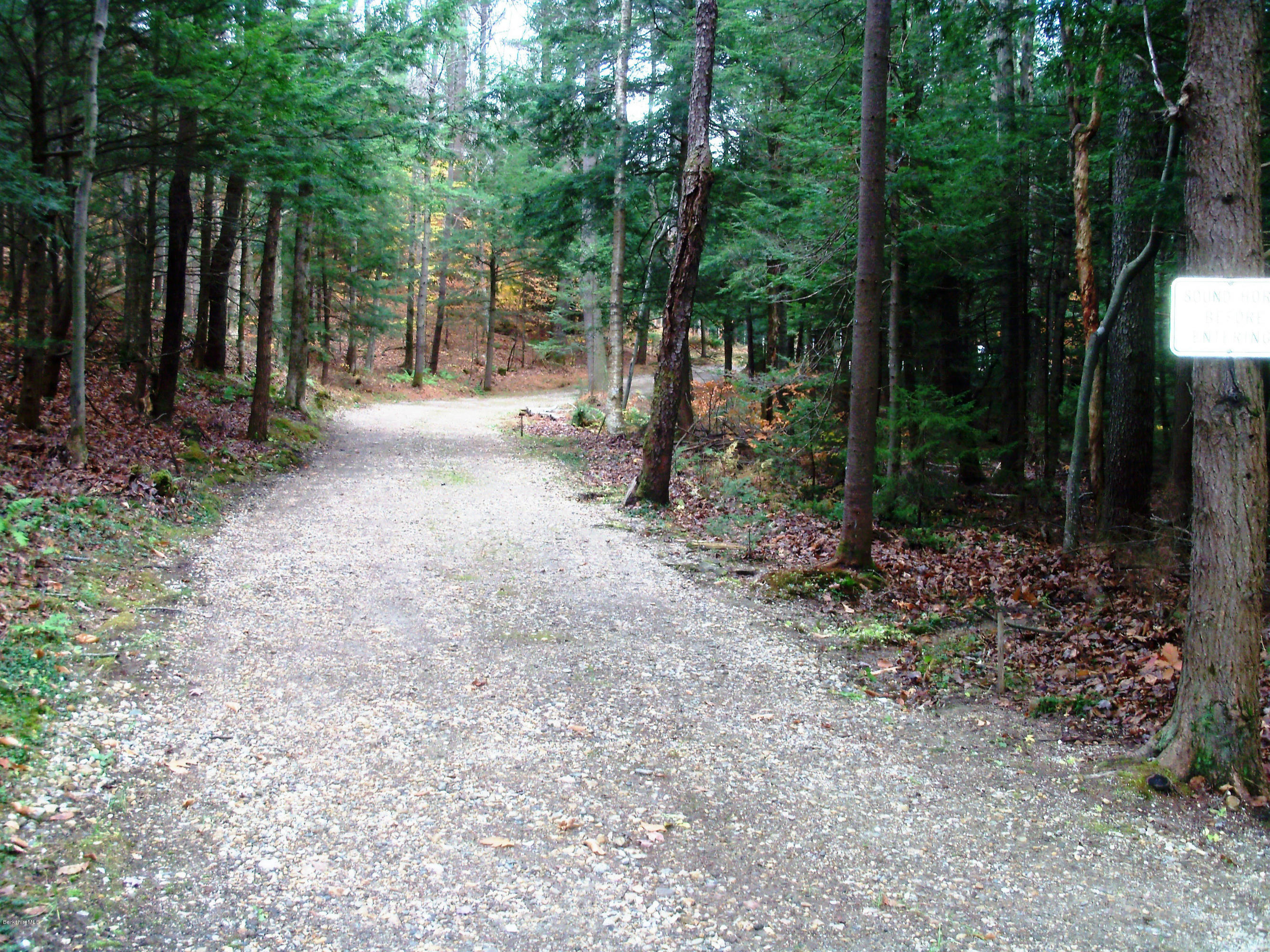 20 S Road Peru, MA 01235 - Photo 6 of 24 a view of a forest with trees