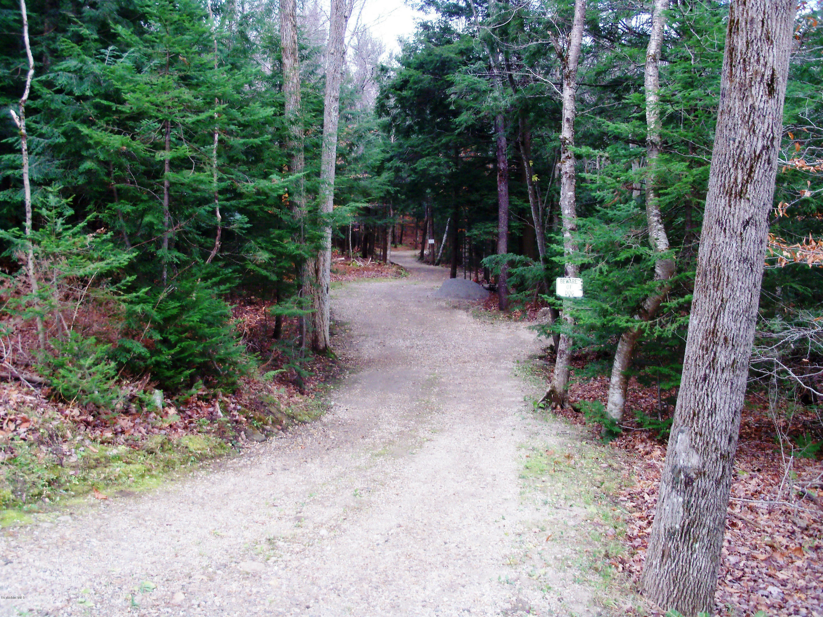 20 S Road Peru, MA 01235 - Photo 7 of 24 a view of outdoor space and garden
