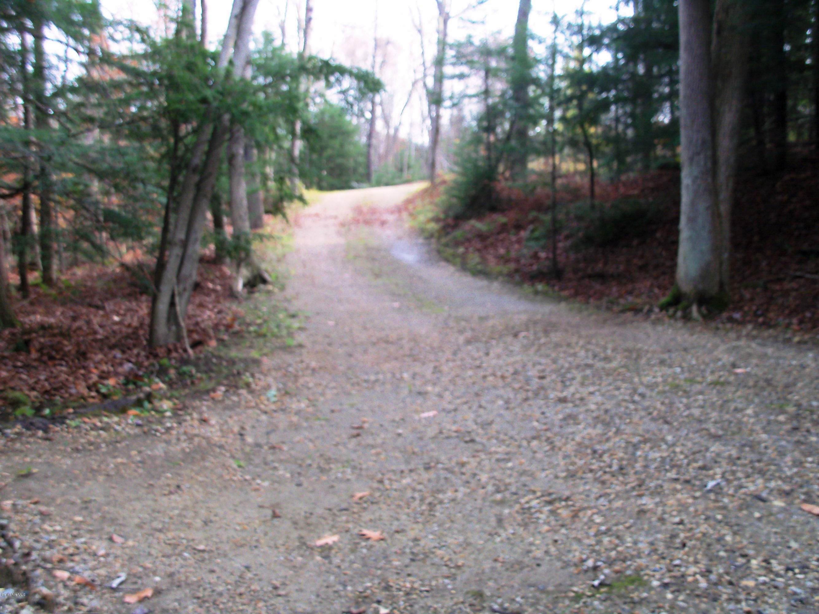 20 S Road Peru, MA 01235 - Photo 8 of 24 a view of a yard with plants and trees