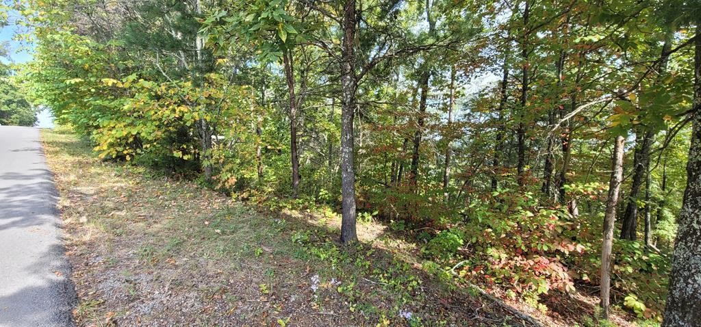 97 Shell Mountain Road Sevierville, TN 37876 - Photo 2 of 14
